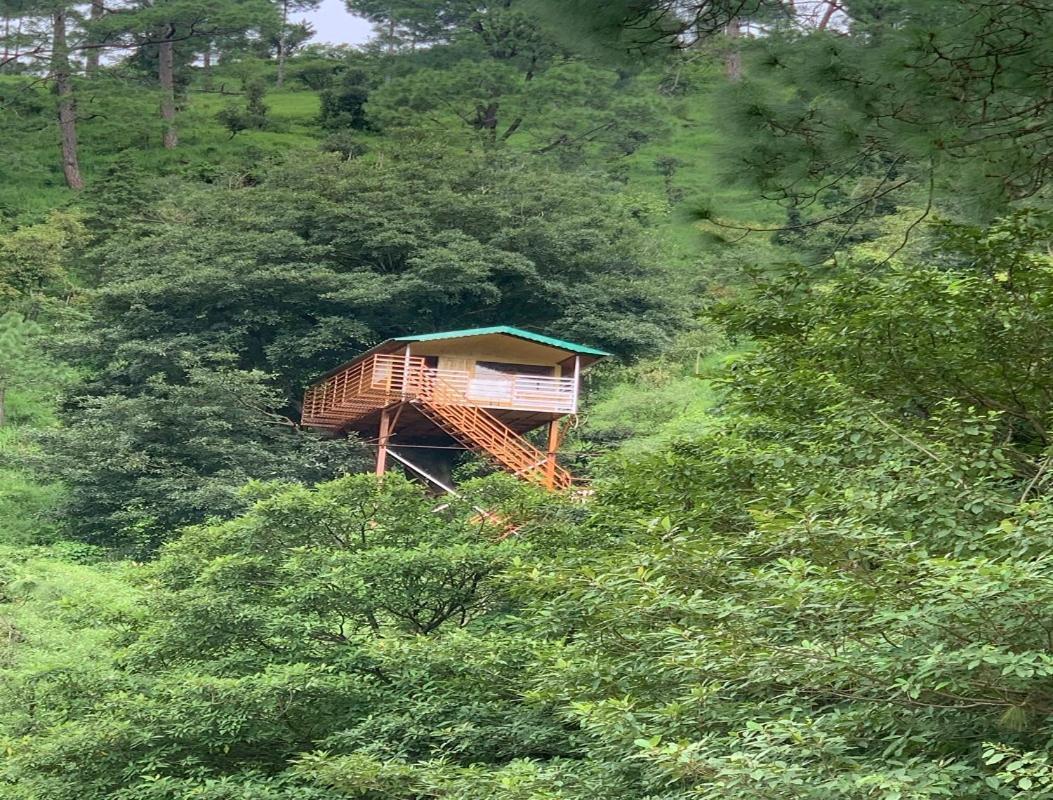 The Cocoon Camps & Nature Resorts Nainital Exterior photo